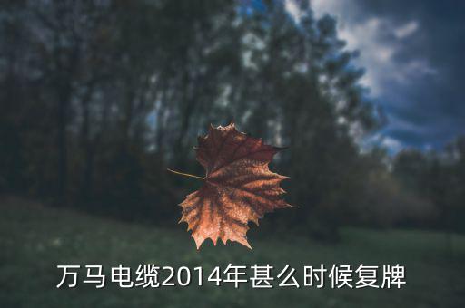 萬(wàn)馬股份什么時(shí)候復(fù)牌，000560各位大神知道啥時(shí)候復(fù)牌