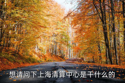 上海清算所做什么，想請問下上海清算中心是干什么的