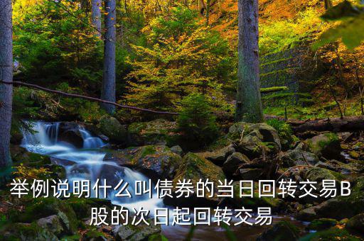 舉例說明什么叫債券的當日回轉交易B股的次日起回轉交易