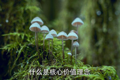 什么是核心價(jià)值理念，什么是核心價(jià)值理念