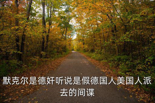默克爾賭什么，默克爾是德奸聽說是假德國人美國人派去的間諜