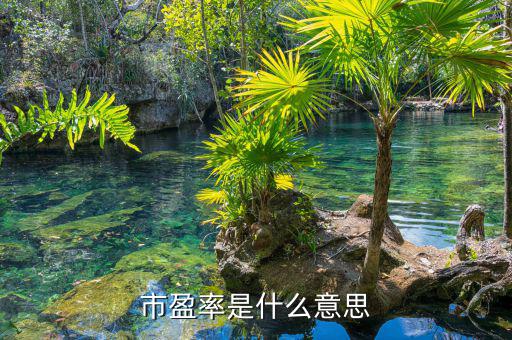什么是市盈率，什么是市凈率和市盈率