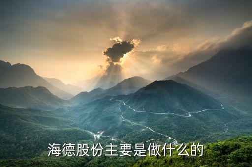 德力股份是干什么的，德國力斯集團以前主要是做什么的啊