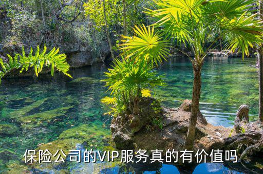 人保貴賓會(huì)員卡有什么用，人保服務(wù)卡是甚么用的