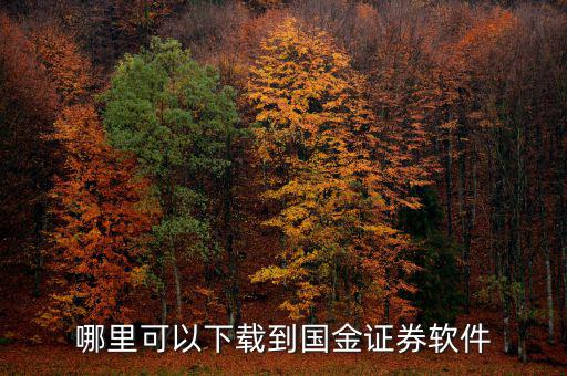 國金證券用的什么軟件，國金證券手機怎樣下載