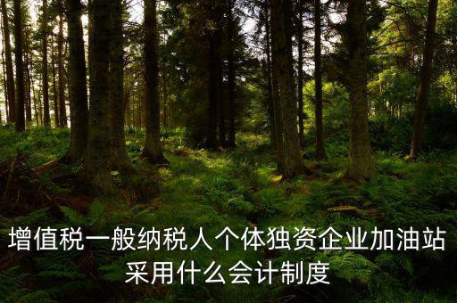 增值稅一般納稅人個體獨(dú)資企業(yè)加油站采用什么會計(jì)制度