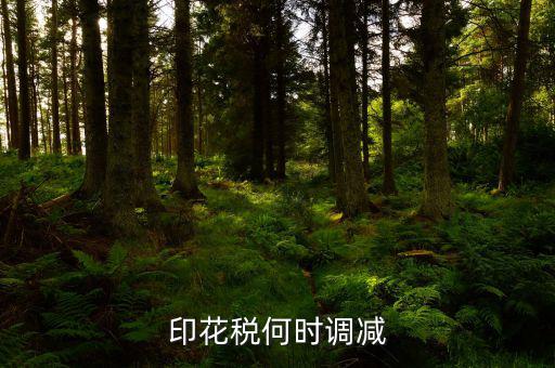 印花稅何時調減