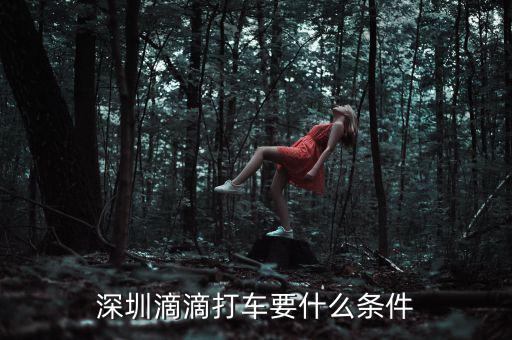 深圳交通滴滴有什么政策，申請深圳滴滴對司機有些什么要求嗎