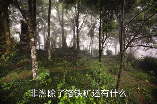 非洲有什么礦產(chǎn)資源，非洲哪些礦產(chǎn)豐富
