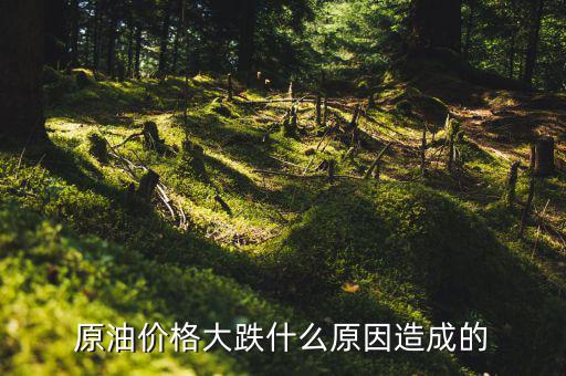 原油為什么會跌，原油價格大跌什么原因造成的
