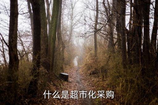 超市化采購什么意思，什么是超市化采購