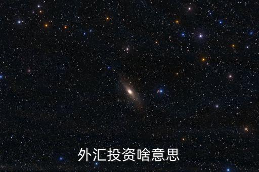 外匯融資是什么意思，外匯投資啥意思