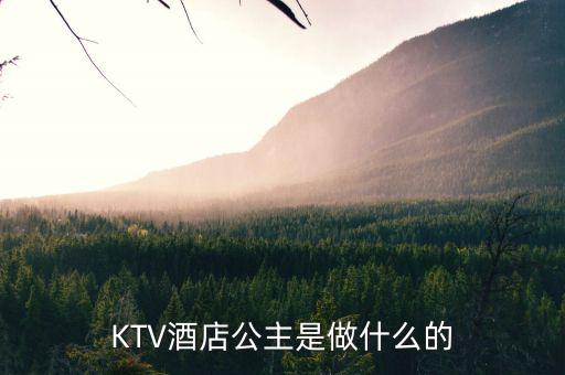 酒店出臺是干什么的，KTV酒店公主是做什么的
