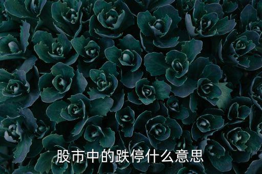 跌停是什么意思，跌停是什么意思