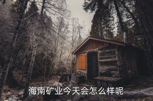 海南礦業(yè)在什么時(shí)候上市，說(shuō)說(shuō)海南礦業(yè)今天還會(huì)繼續(xù)大漲嗎