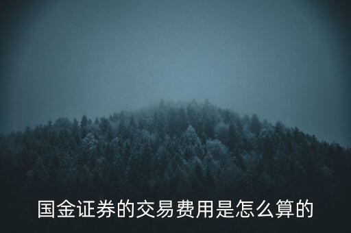 國(guó)金融資開(kāi)倉(cāng)費(fèi)用是什么，國(guó)金證券的交易費(fèi)用是怎么算的