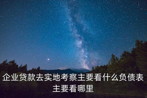 貸款實地考察做些什么，企業(yè)貸款去實地考察主要看什么負債表主要看哪里