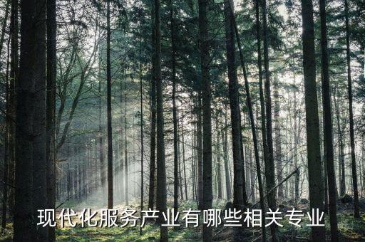 現(xiàn)代化服務產(chǎn)業(yè)有哪些相關(guān)專業(yè)