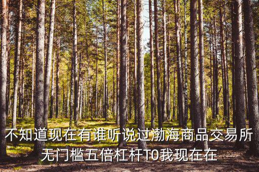 渤海商品多少倍杠桿是什么意思，專業(yè)做期貨的口中所謂幾倍杠桿幾倍杠桿到底是啥意思