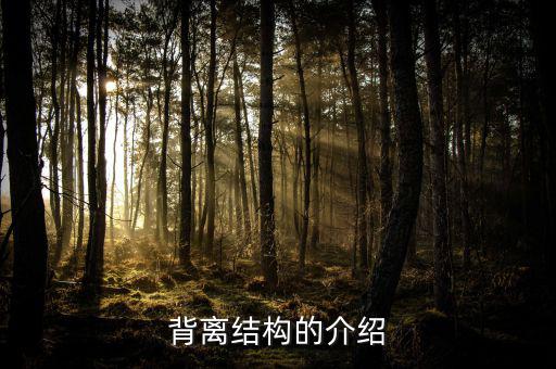 什么是帶結構的背離，背離結構的介紹