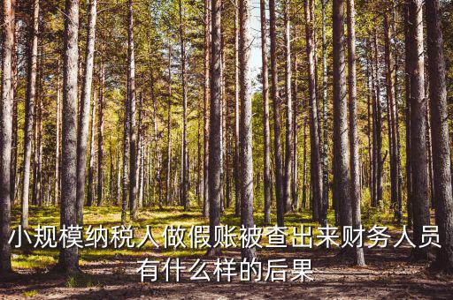 小規(guī)模納稅人做假賬被查出來財務人員有什么樣的后果