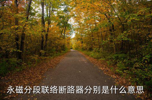 什么是永磁開關(guān)，什么是永磁