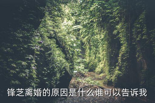 胡芝容為什么離婚，鋒芝戀離婚原因是為什么