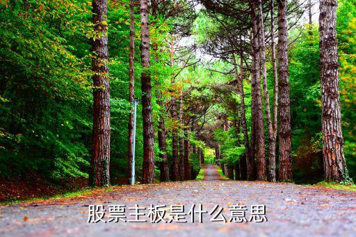 股市主板是什么，股市主板具體指什么