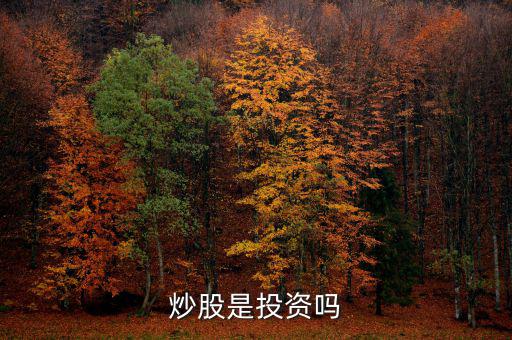 炒股算投資還是什么，炒股是投資嗎