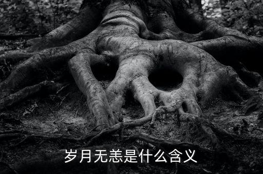 aapl是什么意思，PRQ是什么意思