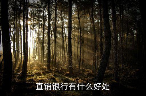 浦發(fā)直銷銀行能干什么，銀行直銷部是做什么的