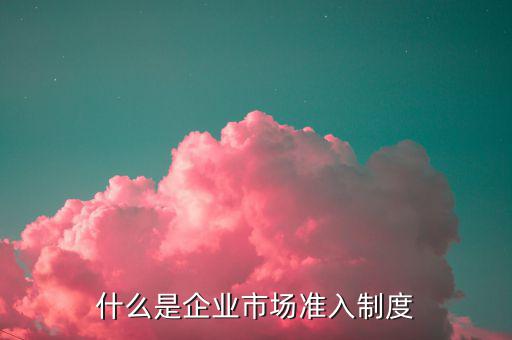 市場準(zhǔn)入制度指什么，差別化市場準(zhǔn)入制度是什么意思