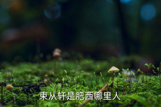 朱從玖肥西什么地方人，kimson肥西是哪里人