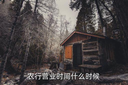 農行什么時候上班，農行上班時間