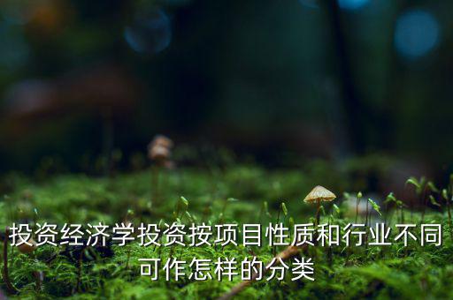 什么是公共消費性投資，如何理解消費投資