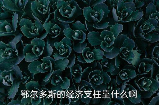為什么鄂爾多斯經(jīng)濟發(fā)展，鄂爾多斯市是什么原因讓其發(fā)展如此迅猛