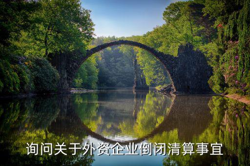 沈陽投資公司跑路市政府什么解決，詢問關(guān)于外資企業(yè)倒閉清算事宜