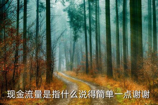 現(xiàn)金流量是指什么說得簡單一點(diǎn)謝謝