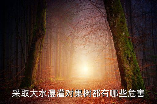 廣西地區(qū)大水漫灌導(dǎo)致什么，在干旱半干旱地區(qū)采取大水漫灌的灌溉方式可能會(huì)導(dǎo)致土地鹽漬化