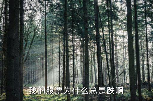 捷城股份為什么一直跌，有被捷成投資騙的人嗎咱們一起去告他