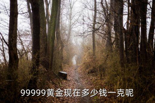 黃金現(xiàn)在什么價(jià)格一克，黃金現(xiàn)在多少錢一克