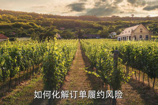 什么訂單執(zhí)行風(fēng)險(xiǎn)，淘寶訂單險(xiǎn)的問(wèn)題