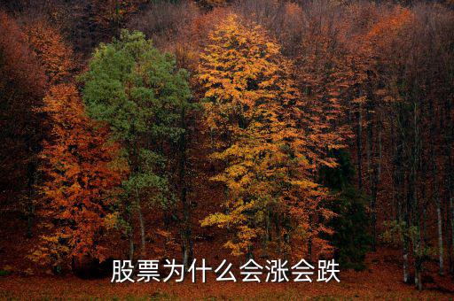 股票為什么會(huì)上漲下跌，股票為什么會(huì)漲會(huì)跌啊
