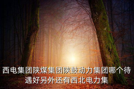西電集團(tuán)陜煤集團(tuán)陜鼓動力集團(tuán)哪個待遇好另外還有西北電力集