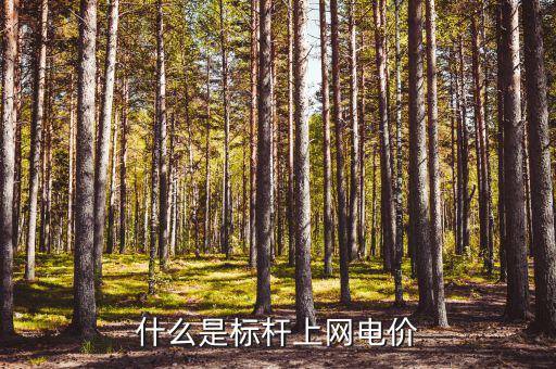 什么是標(biāo)桿電價(jià)，什么是標(biāo)桿上網(wǎng)電價(jià)