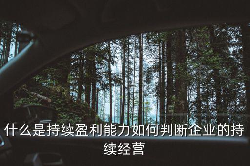什么是持續(xù)盈利能力，什么是具備持續(xù)贏利能力的行業(yè)