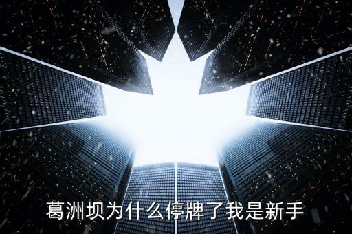 葛洲壩為什么停牌，葛洲壩為什么8月21日停牌