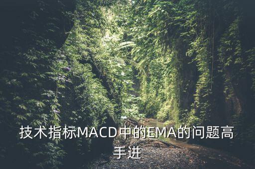 技術(shù)指標MACD中的EMA的問題高手進