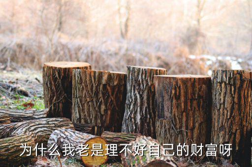 財富為什么不好說說理由，我?guī)蛣e人回答問題為什么說財富不足
