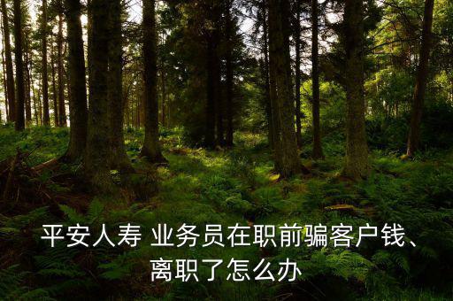  平安人壽 業(yè)務(wù)員在職前騙客戶錢、離職了怎么辦